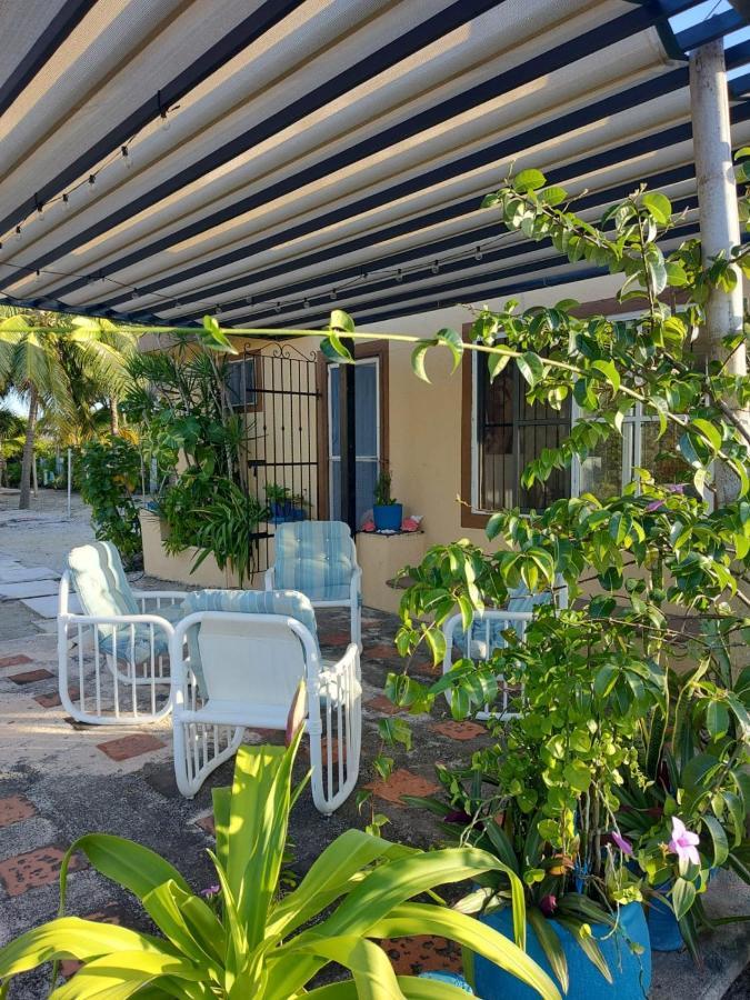 Casa Ibiza Celestun 빌라 외부 사진